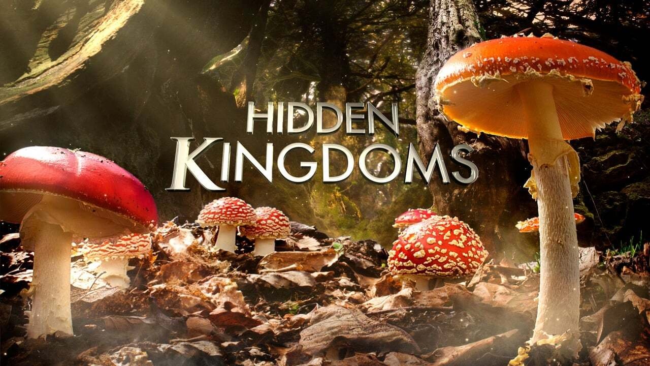 Скріншот